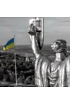 Нікіта