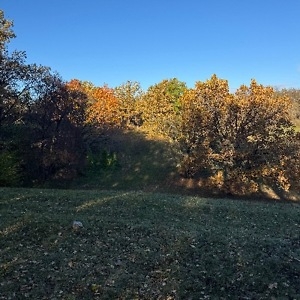 Про продавец Сергей