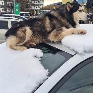 Про продавец Ruslan Myhailovych Mykytiuk