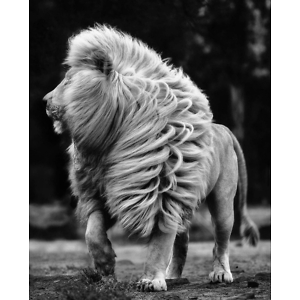 Про продавец Alexandr