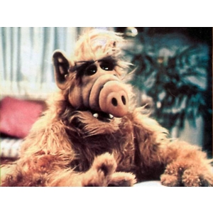 Про продавець Николай