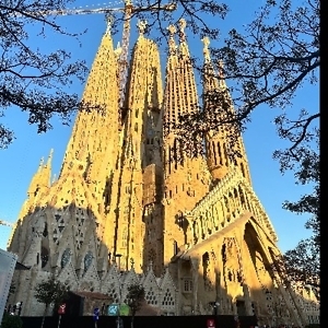 Про продавец Денис Игоревич