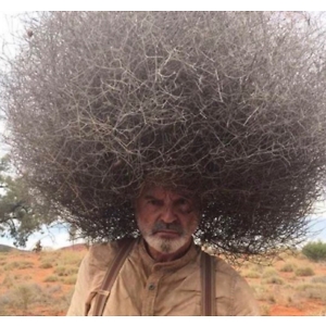 Про продавец Sergey