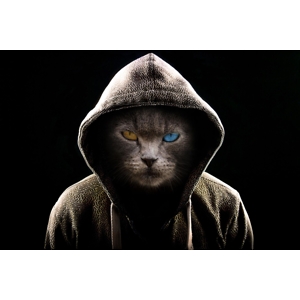 Про продавец Вадим