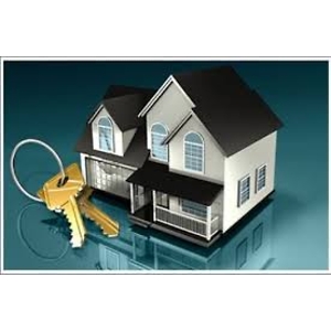 Олександр Цибульський