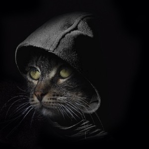 Про продавец Владимир Про продавец Владимир