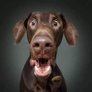 Про продавец Макс