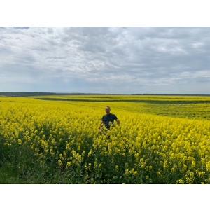 Про продавец Nik Nikolaevic