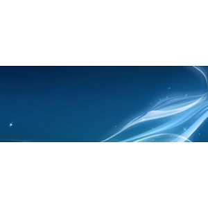 Про продавец Mirwais rasa