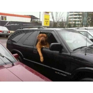 Про продавец Максим Про продавец Максим