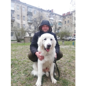 Про продавец Василий Ласточкин