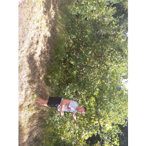 Про продавец Руслан Игорович Косенко