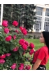 Стефания Стефания