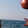 user photo