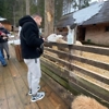 user photo