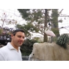 user photo