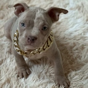 Про продавец Продавец