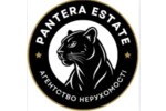 Pantera Space 