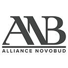 Альянс Новобуд (Alliance Novobud)