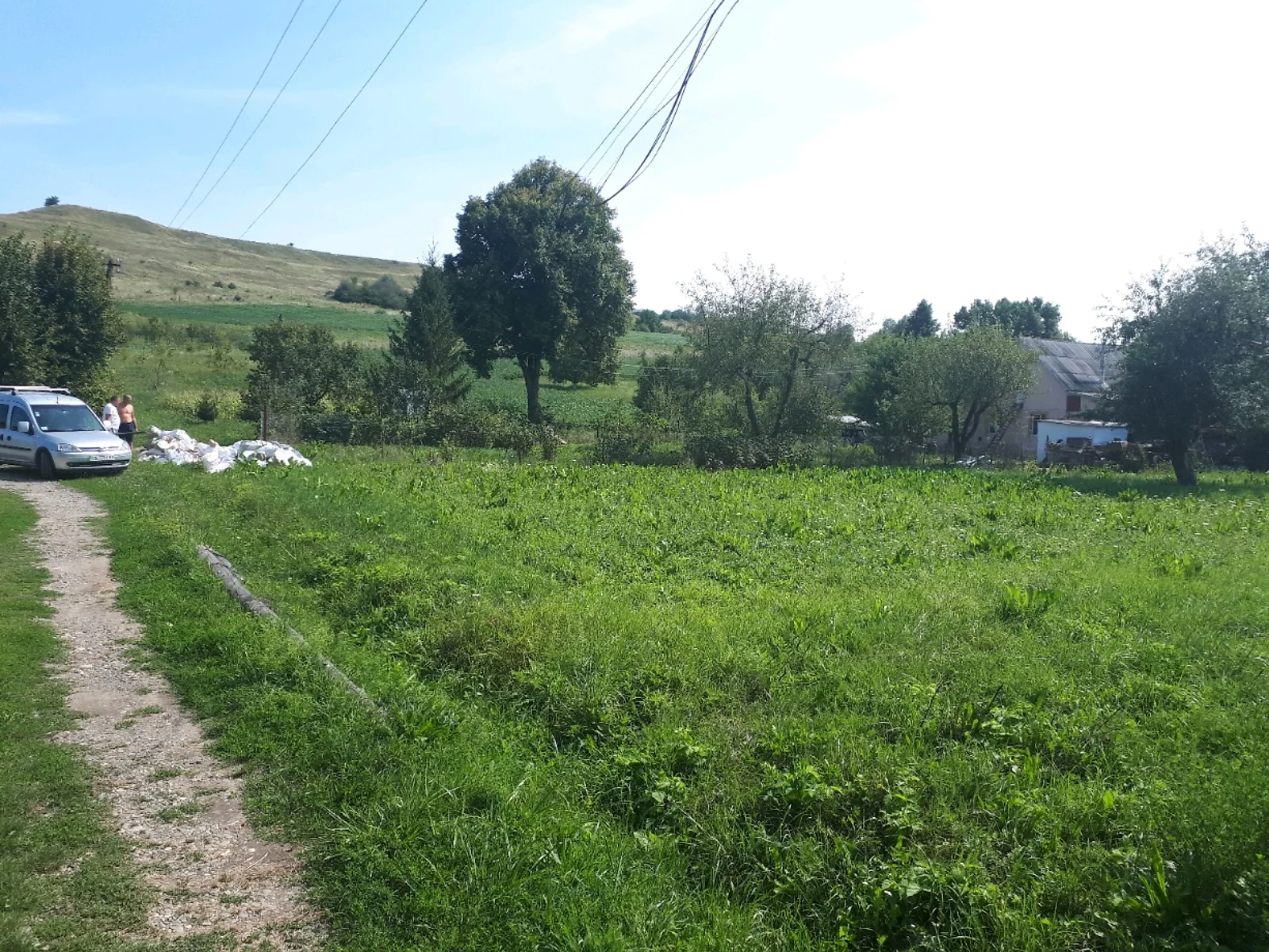 Продается земельный участок 45 соток в Черновицкой области - фото 2