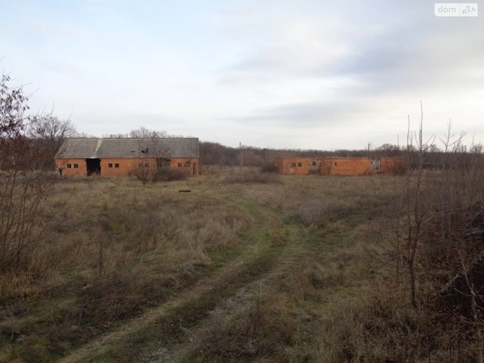 Продается земельный участок 180 соток в Киевской области - фото 2