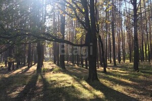 Продаж ділянки під житлову забудову, Київська, Макарів, c. Колонщина