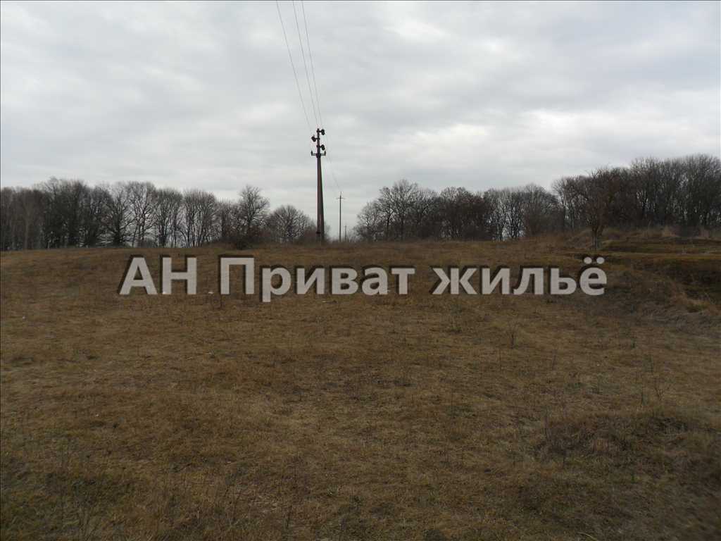 Продается земельный участок 10 соток в Полтавской области - фото 3