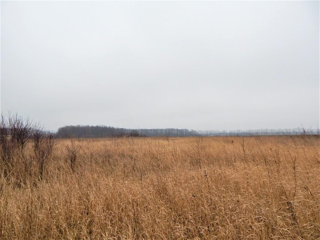 Продается земельный участок 70 соток в Харьковской области - фото 2