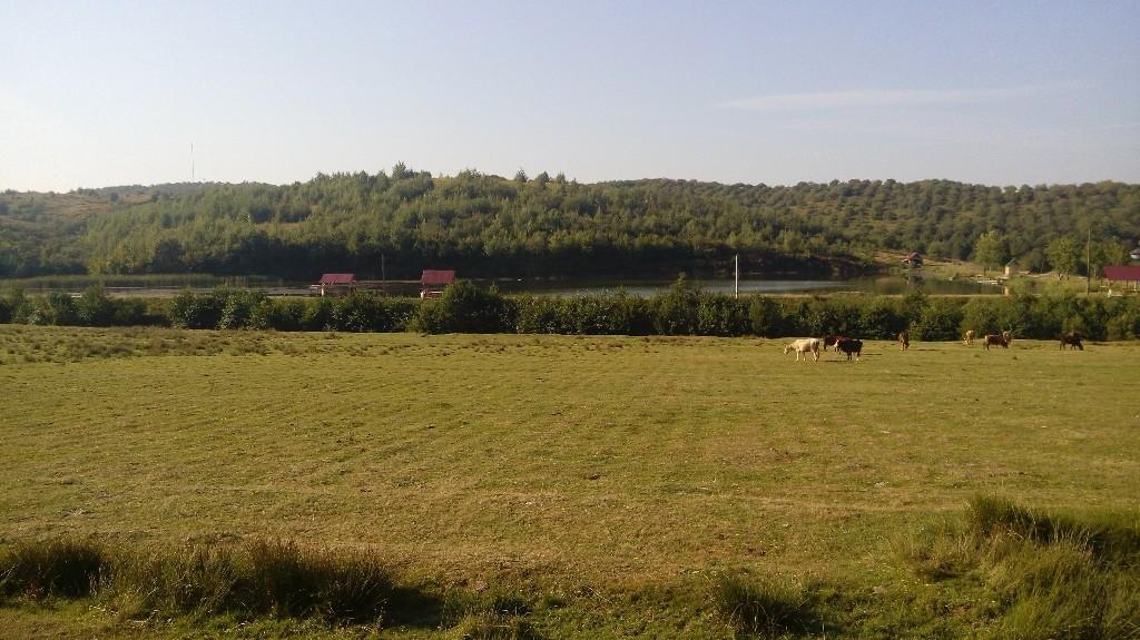 Продається земельна ділянка 12 соток у Закарпатській області, цена: 8000 €