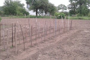 Продажа участка под жилую застройку, Тернополь, р‑н. Березовица, НАЦІОНАЛЬНОГО ВІДРОДЖЕННЯ