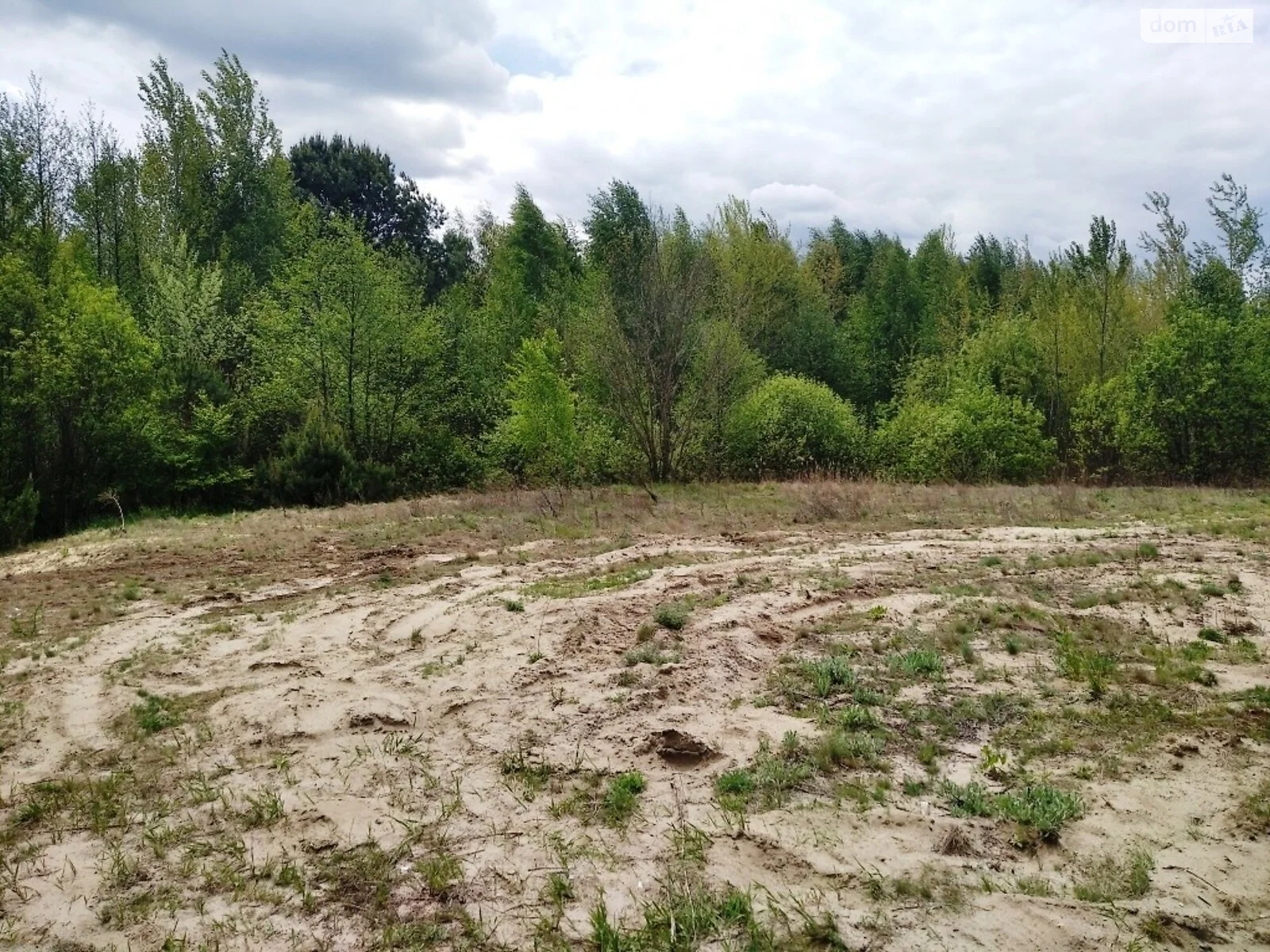 Продается земельный участок 80 соток в Житомирской области - фото 3