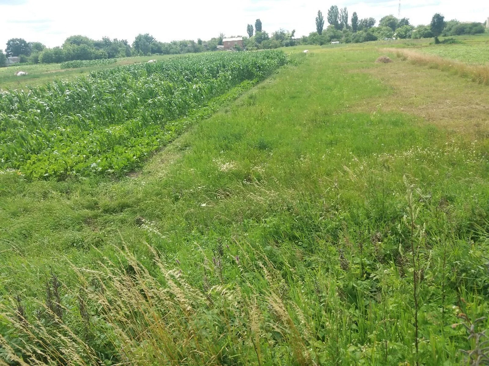 Продается земельный участок 28.59 соток в Винницкой области - фото 2
