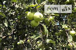 Продаж землі сільськогосподарського призначення, Черкаси, р‑н. Шкільна, Чайковського вулиця