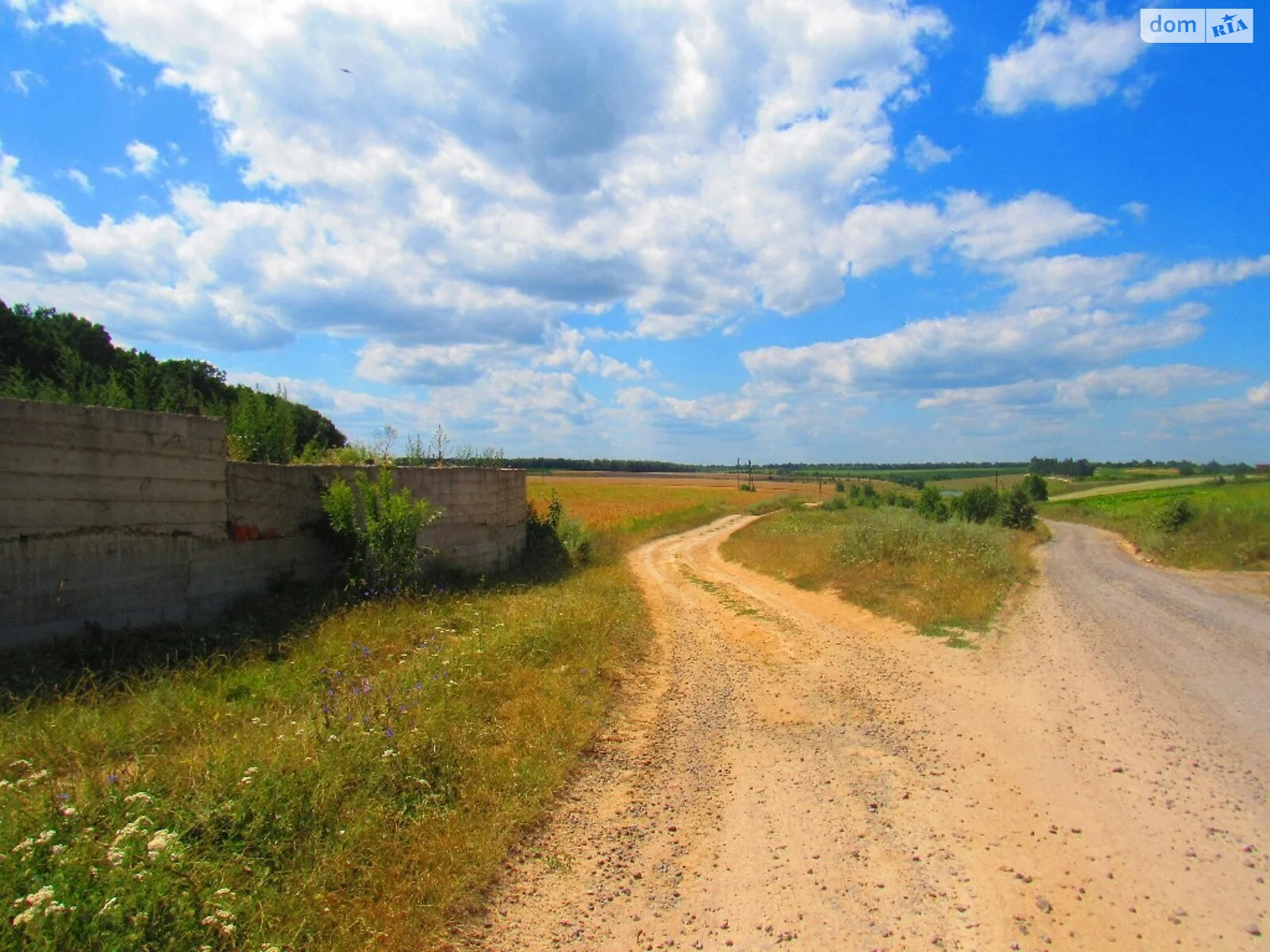 Продается земельный участок 42 соток в Винницкой области - фото 3