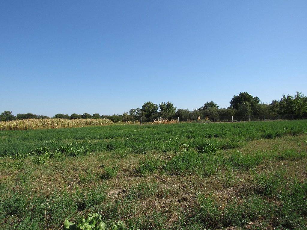вул. Вишнева Мізяківські Хутори, цена: 15500 $ - фото 1