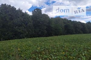 Продаж ділянки під житлову забудову, Тернопіль, c. Товстолуг