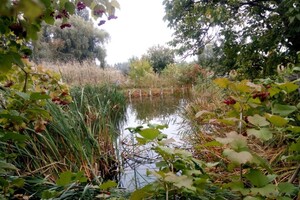 Продаж ділянки під житлову забудову, Черкаси, р‑н. Дахнівка, Волкова Сержанта вулиця