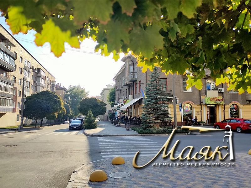 2-комнатная квартира 53 кв. м в Запорожье, ул. Александровская - фото 1