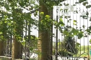 Продажа участка под жилую застройку, Запорожье, р‑н. Днепровский (Ленинский), Днепровские пороги улица