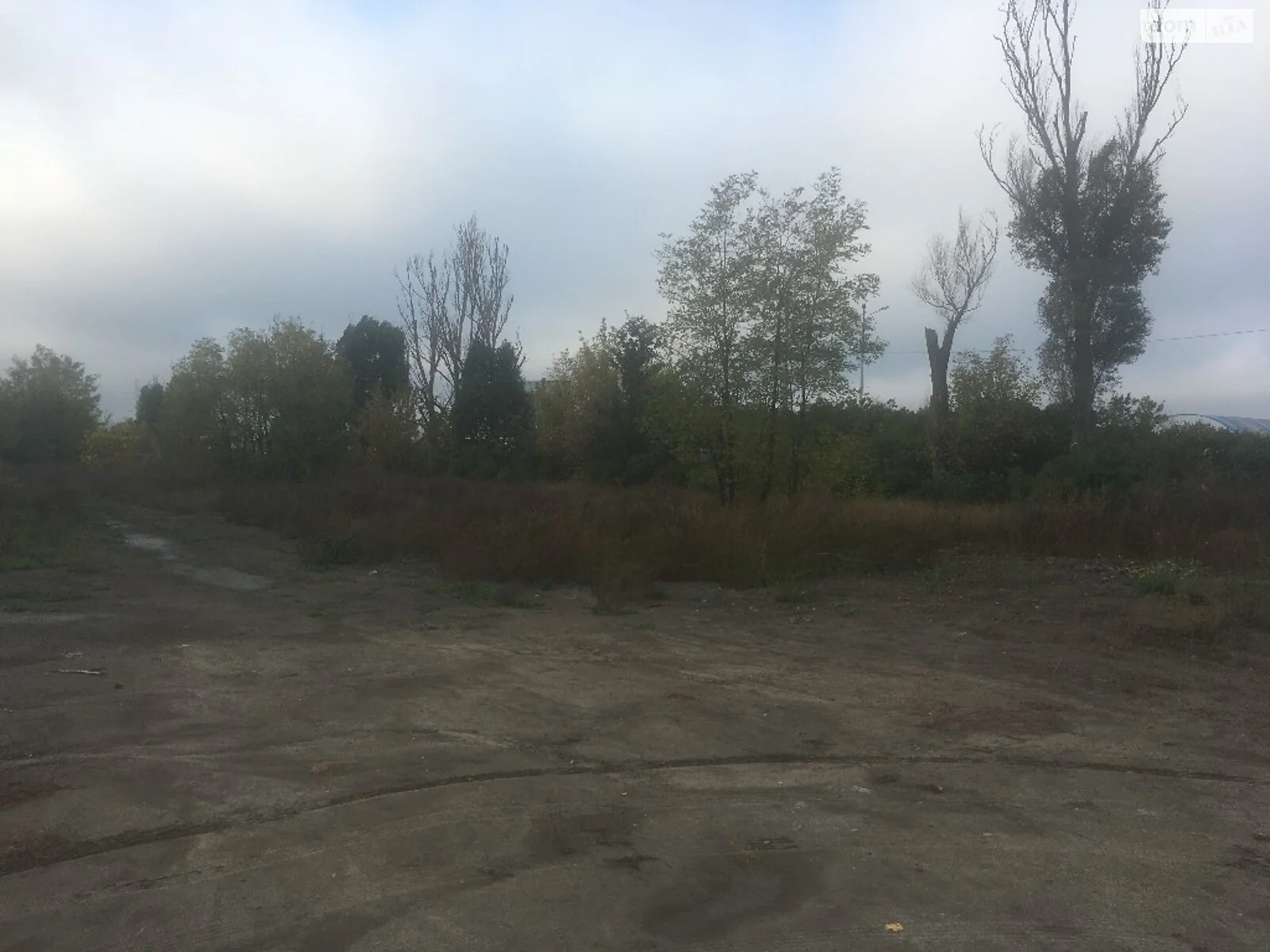 Продается земельный участок 60 соток в Днепропетровской области - фото 3