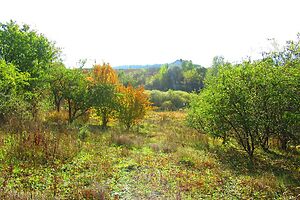 Продаж ділянки під житлову забудову, Вінниця, р‑н. Барське шосе, Леонида Каденюка переулок