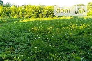 Продаж ділянки під житлову забудову, Хмельницький, c. Немичинці