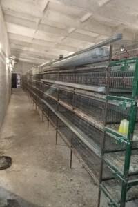 Продажа производственного помещения, Чернигов, c. Боромики, Боромики