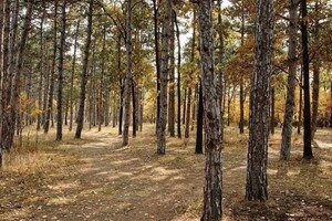 Продаж ділянки під житлову забудову, Одеса, р‑н. Суворовський