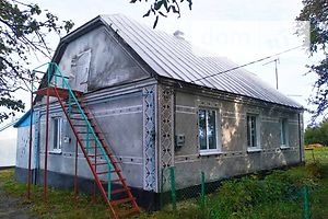Продаж будинку, Хмельницька, Красилів, c. Дружне, Вішнева, буд. 41