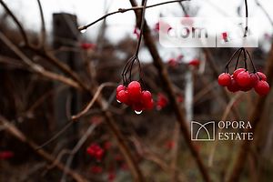Продажа участка под жилую застройку, Чернигов, р‑н. Яловщина, Михалевича улица