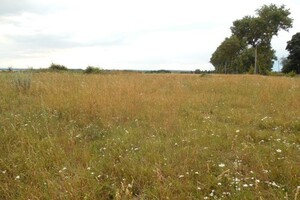 Продажа земли сельскохозяйственного назначения, Винница, c. Ивановка