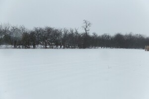 Продажа участка под жилую застройку, Винница, c. Хижинцы, Павлусенка вулиця