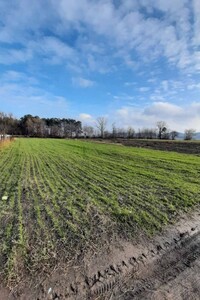 Продаж ділянки під житлову забудову, Тернопільська, Кременець, c. Великі Млинівці