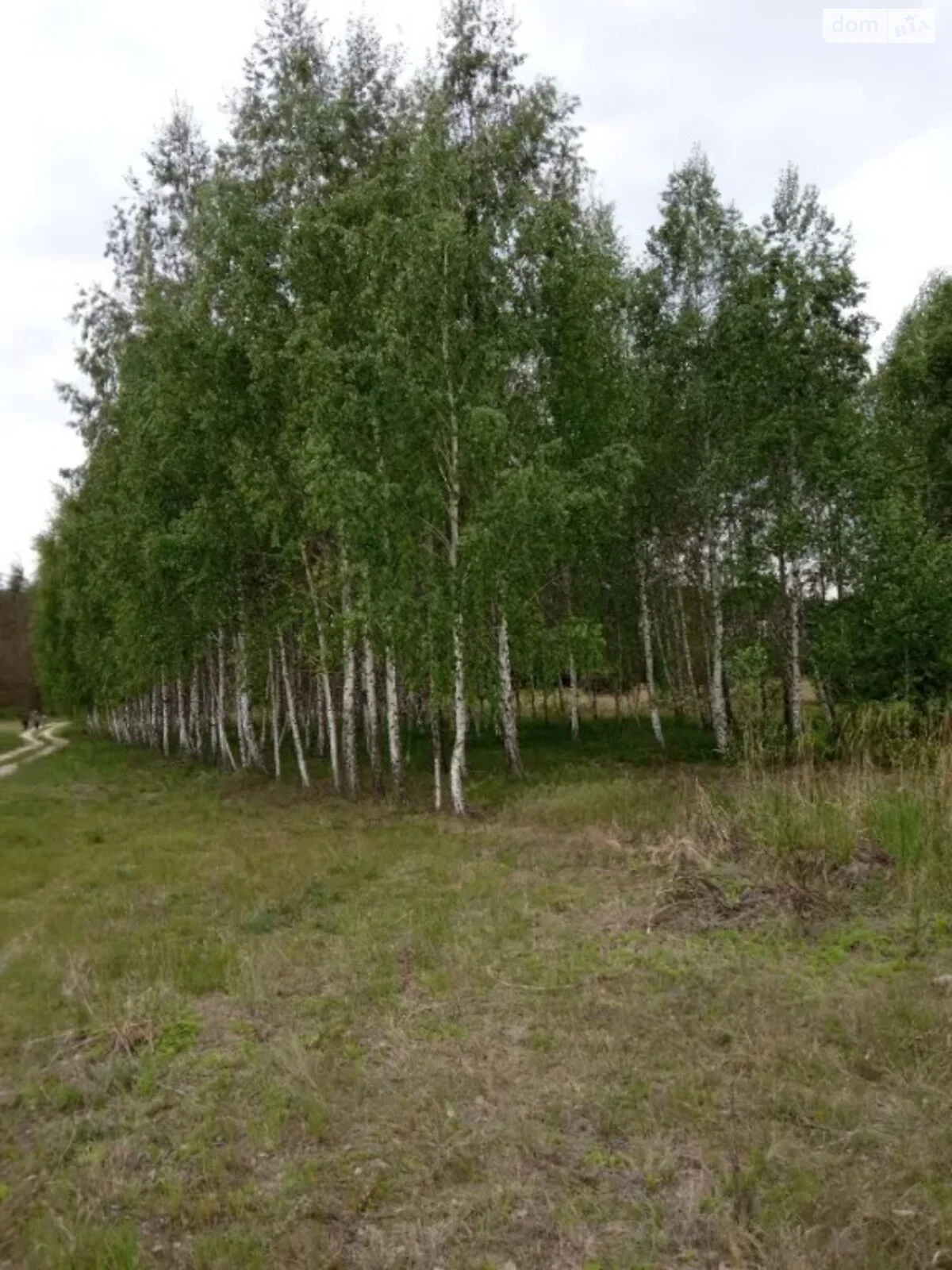 Продается земельный участок 15 соток в Черниговской области - фото 3